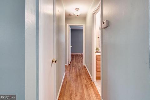 17208 Emerson Dr, Silver Spring, MD 20905 photo 14