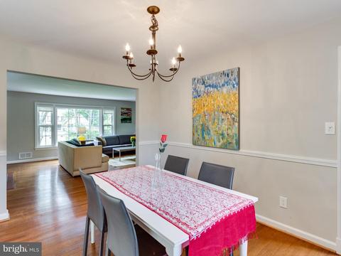 306 Apple Grove Rd, Silver Spring, MD 20904 photo 12
