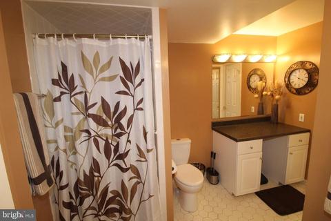 213 Windridge Acres Ct, Silver Spring, MD 20905 photo 35