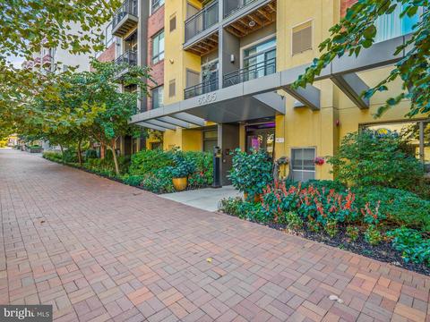 8005 13th St #304, Silver Spring, MD 20910 photo 3