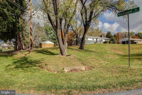 15015 Peachstone Dr, Silver Spring, MD 20905 photo 34