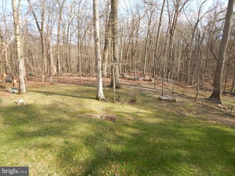 13103 Collingwood Ter, Silver Spring, MD 20904 photo 40
