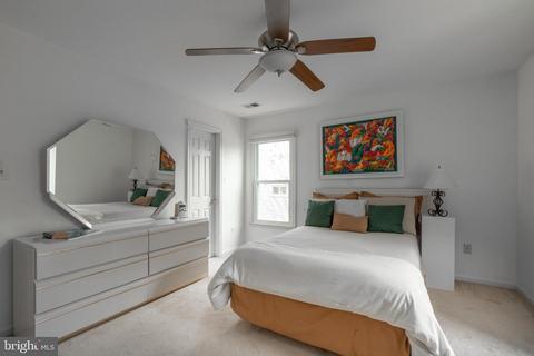 11415 Catalina Ter, Silver Spring, MD 20902 photo 17