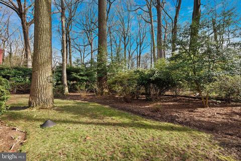 1540 Live Oak Dr, Silver Spring, MD 20910 photo 29