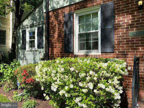9303 Glenville Rd, Silver Spring, MD 20901 photo 11