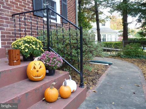 9303 Glenville Rd, Silver Spring, MD 20901 photo 38