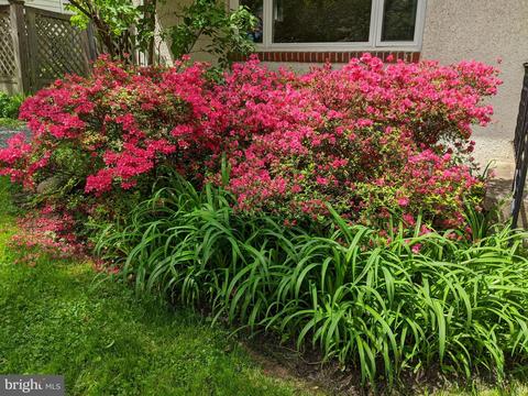 616 Eldrid Dr, Silver Spring, MD 20904 photo 49