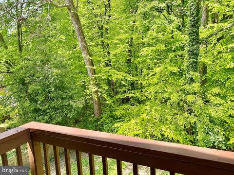 11706 Lytle St, Silver Spring, MD 20902 photo 40