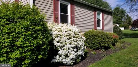15929 Attleboro Rd, Silver Spring, MD 20905 photo 45