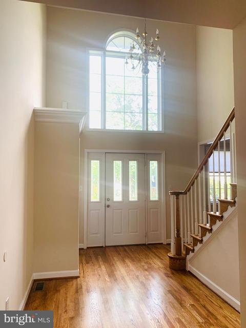 10400 Naglee Rd, Silver Spring, MD 20903 photo 5