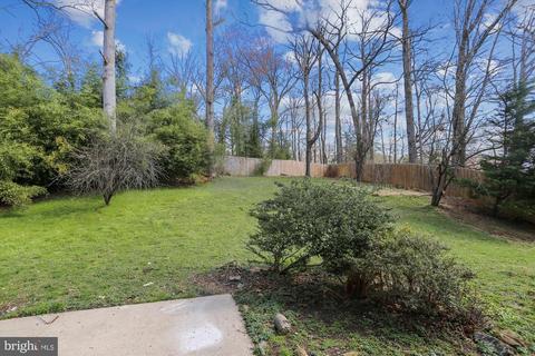 11744 Lovejoy St, Silver Spring, MD 20902 photo 5