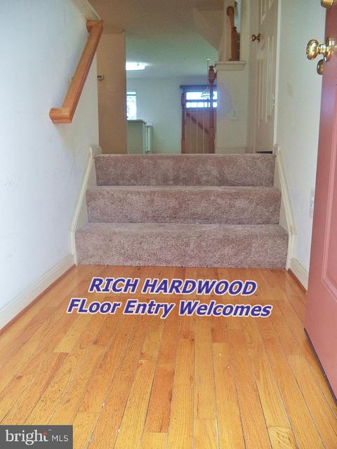 15112 Deer Valley Ter, Silver Spring, MD 20906 photo 11