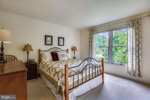 613 Symphony Woods Dr, Silver Spring, MD 20901 photo 23