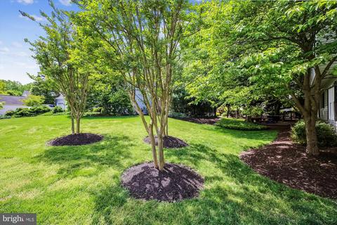 613 Symphony Woods Dr, Silver Spring, MD 20901 photo 17