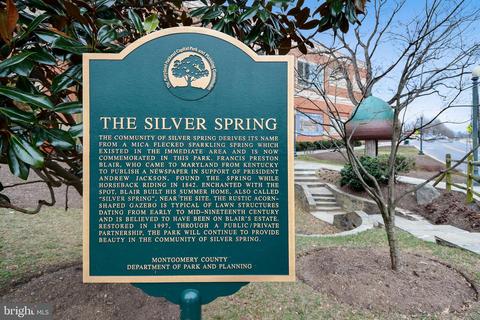 811 Gist Ave, Silver Spring, MD 20910 photo 28