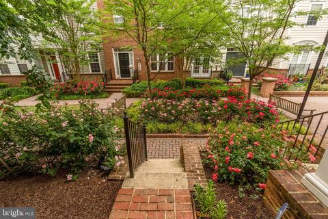 2142 Little Sorrel Way, Silver Spring, MD 20902 photo 4