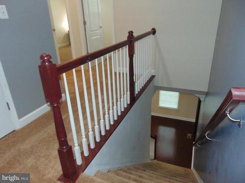 2142 Little Sorrel Way, Silver Spring, MD 20902 photo 31