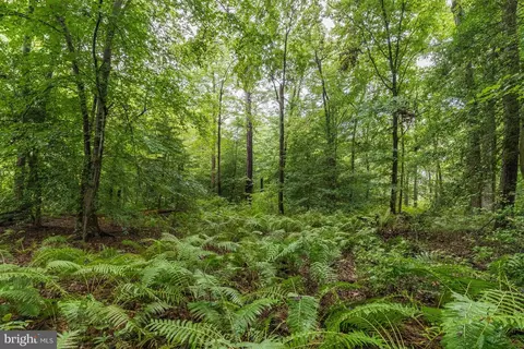 Laurel Bowie - Parcel 36, Laurel, MD 20707