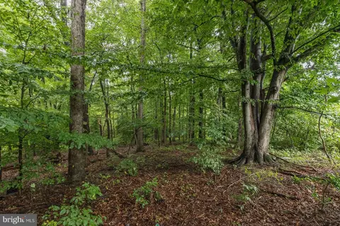 Laurel Bowie - Parcel 36, Laurel, MD 20707 photo 5