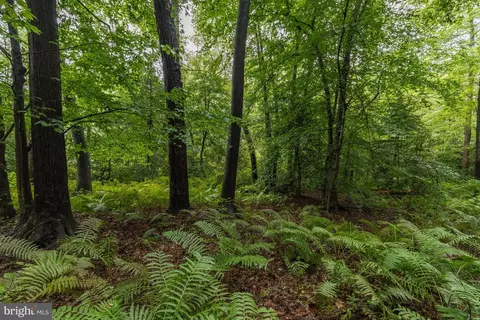 Laurel Bowie - Parcel 36, Laurel, MD 20707 photo 4