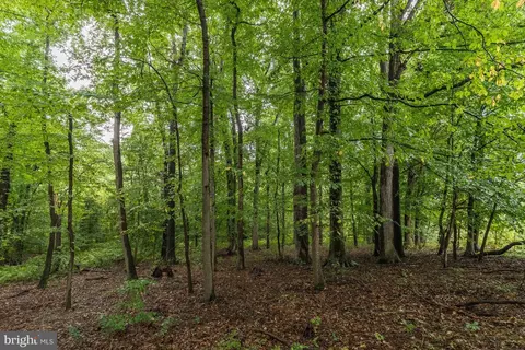 Laurel Bowie - Parcel 36, Laurel, MD 20707 photo 2