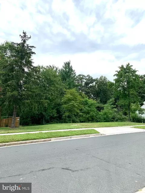 13716 Engleman Dr, Laurel, MD 20708 photo 3