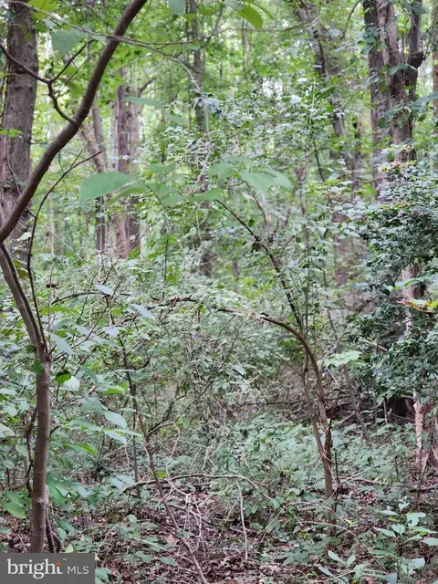 Frederick Douglas Avenue, Aquasco, MD 20608