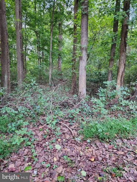23000 Booker Washington Ave, Aquasco, MD 20608