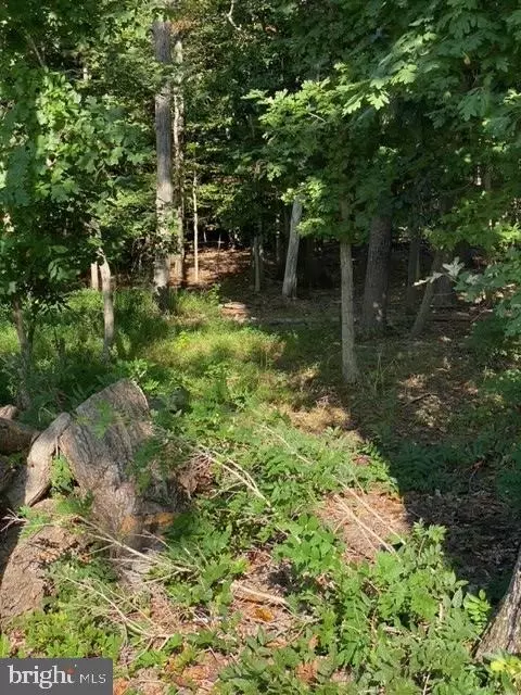 3810 Oaklawn Rd, Fort Washington, MD 20744