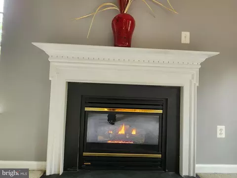 302 Switchgrass Ct, Marlboro, MD 20774 photo 30