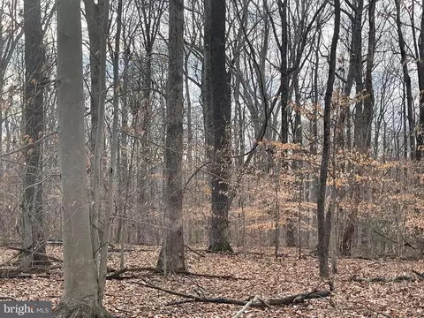 Lusbys Lane, Brandywine, MD 20613