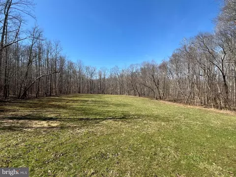 8304 Hook Ln, Marlboro, MD 20772 photo 3