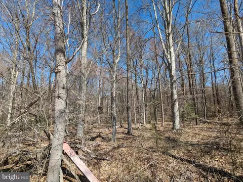 Danville Road, Brandywine, MD 20613 photo 3