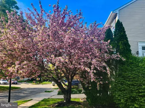 Other - 823 Postwick Pl, Bowie, MD 20716 photo 2 of 12