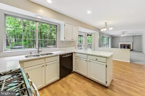 9205 Moon River Ct, Adelphi, MD 20783 photo 10