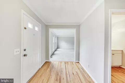 9205 Moon River Ct, Adelphi, MD 20783 photo 20