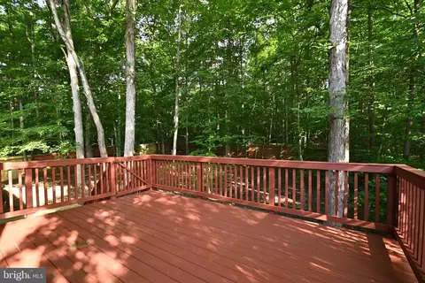 10110 Snowden Rd, Laurel, MD 20708 photo 16