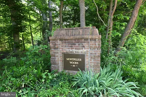 10110 Snowden Rd, Laurel, MD 20708 photo 46