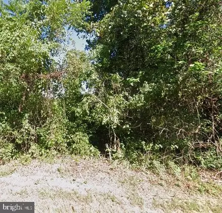 4600 Briggs Chaney Rd, Beltsville, MD 20705