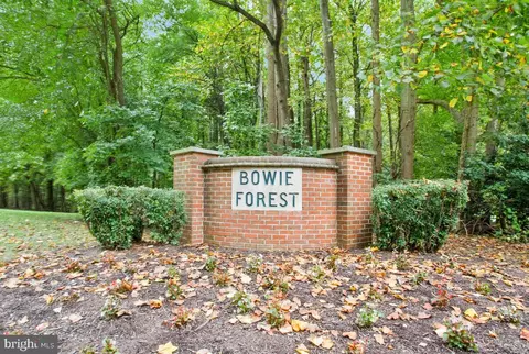 13021 Silver Maple Ct, Bowie, MD 20715 photo 34