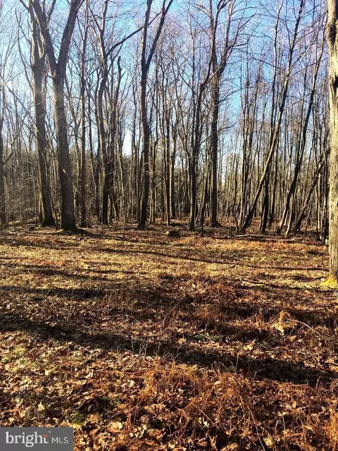 950 Bryan Point Rd, Accokeek, MD 20607