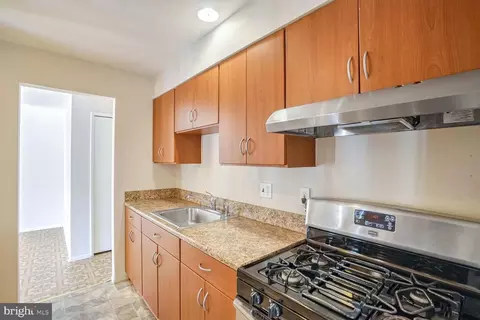 519 Wilson Bridge Dr #6718 B-2, Oxon Hill, MD 20745