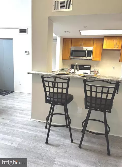 15744 Easthaven Ct #711, Bowie, MD 20716 photo 14