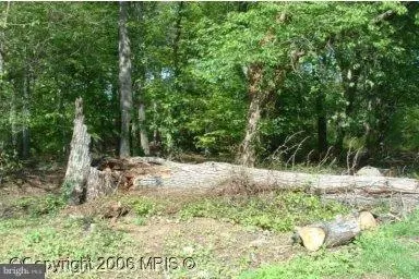 9315 Davidson St, College Park, MD 20740