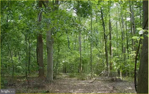 12605 Cedarville Rd, Brandywine, MD 20613