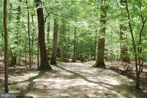 Parcel 45 Bryan Point Road, Accokeek, MD 20607