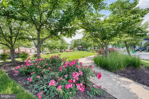 Other - 7419 Near Thicket Way, Laurel, MD 20707 photo 18 of 21