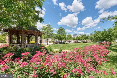 Other - 7419 Near Thicket Way, Laurel, MD 20707 photo 19 of 21