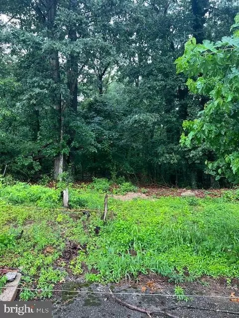 Jeffrey Avenue, Lanham, MD 20706 photo 8