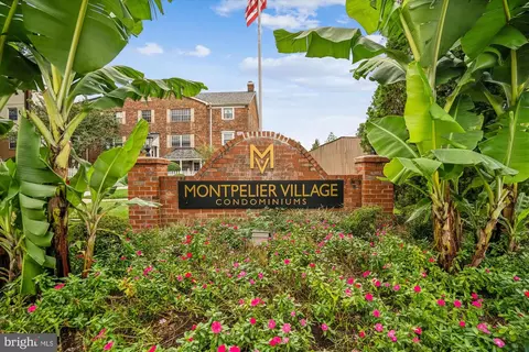 4421 Romlon St #1, Beltsville, MD 20705
